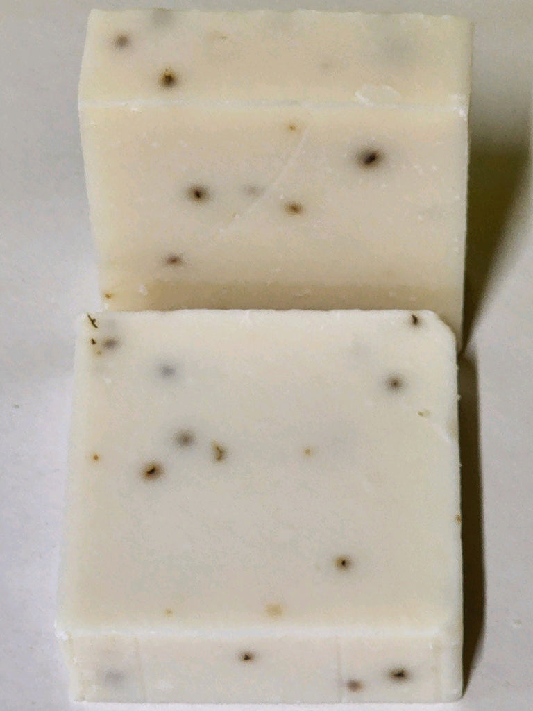 Eucalyptus Aloe Soap